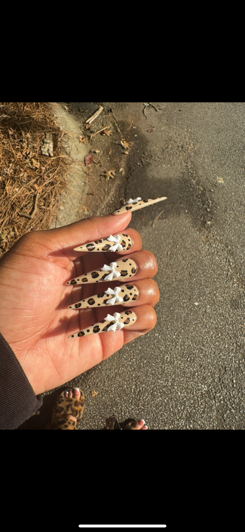 Cheetah Bow